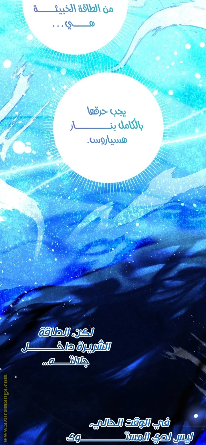 الصفحة 55