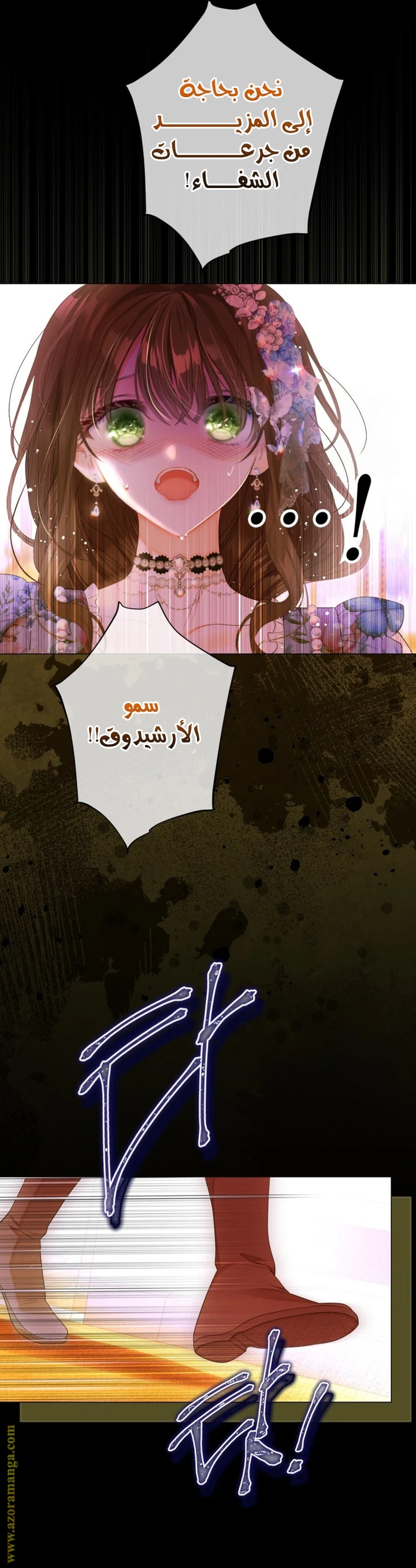 الصفحة 13