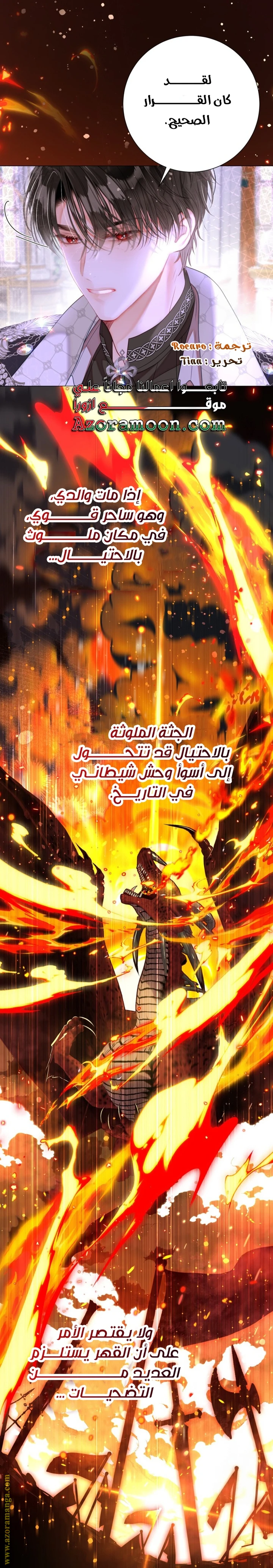 الصفحة 25