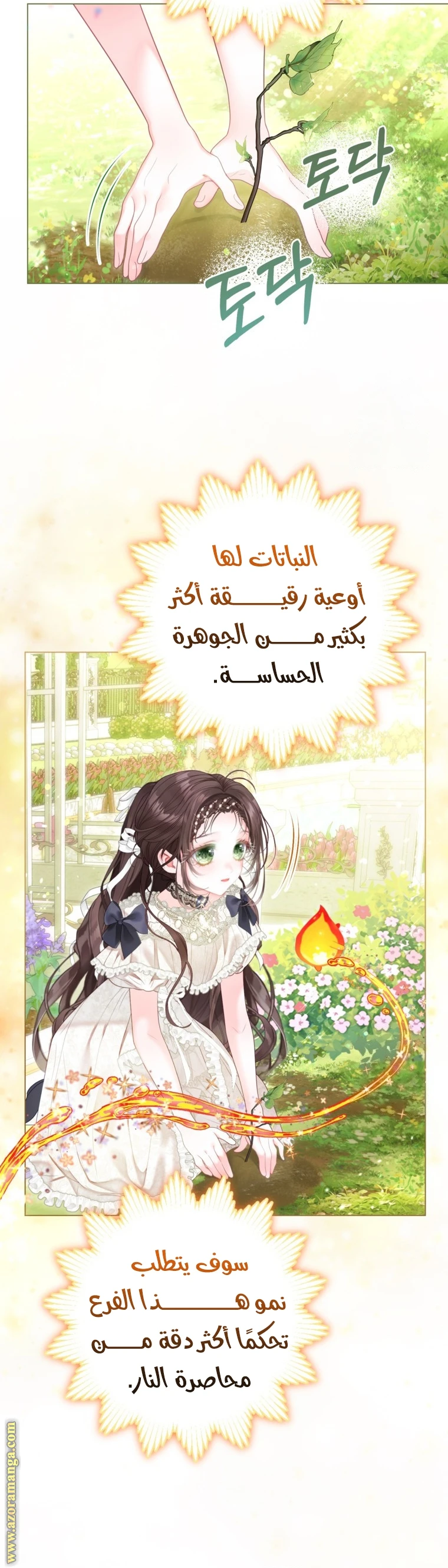 الصفحة 35