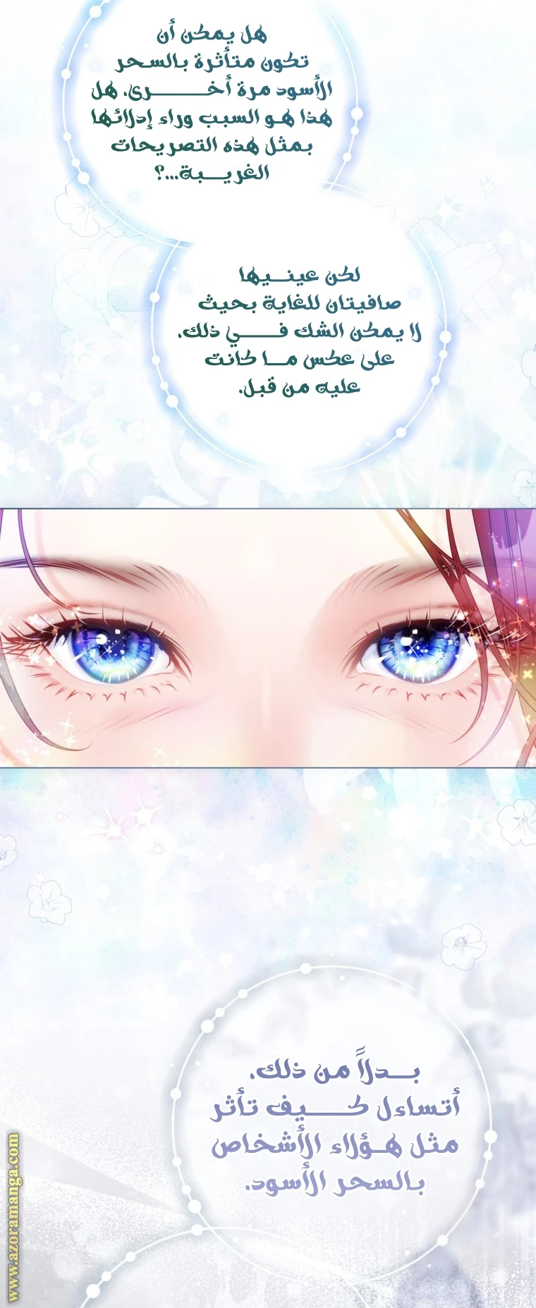 الصفحة 13