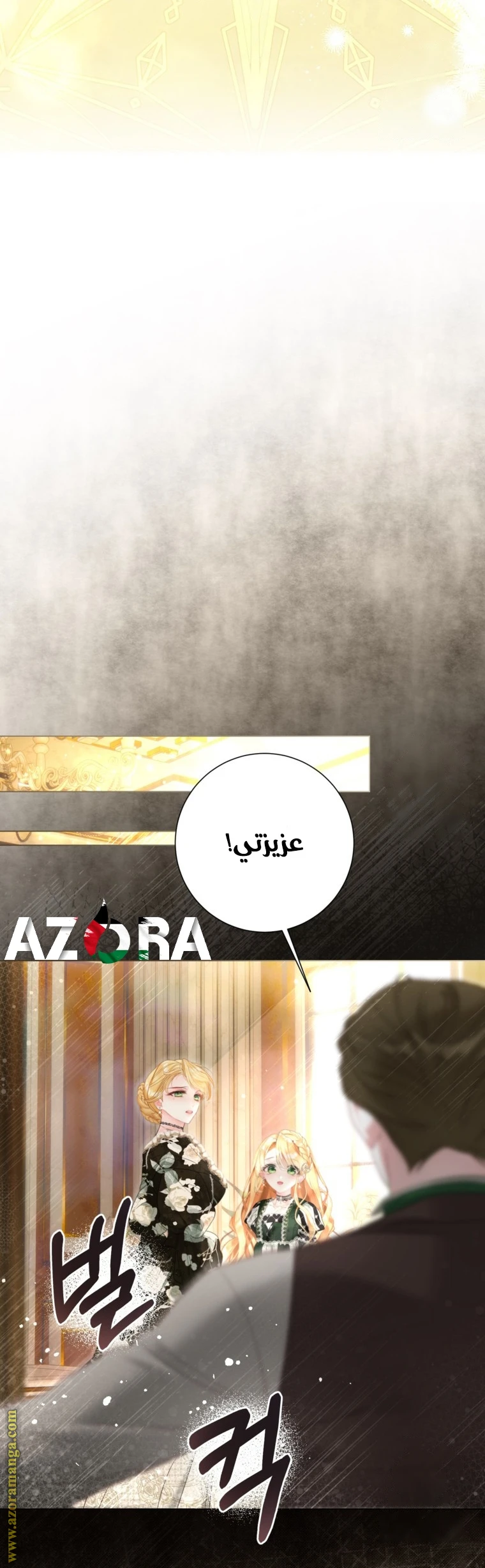 الصفحة 14