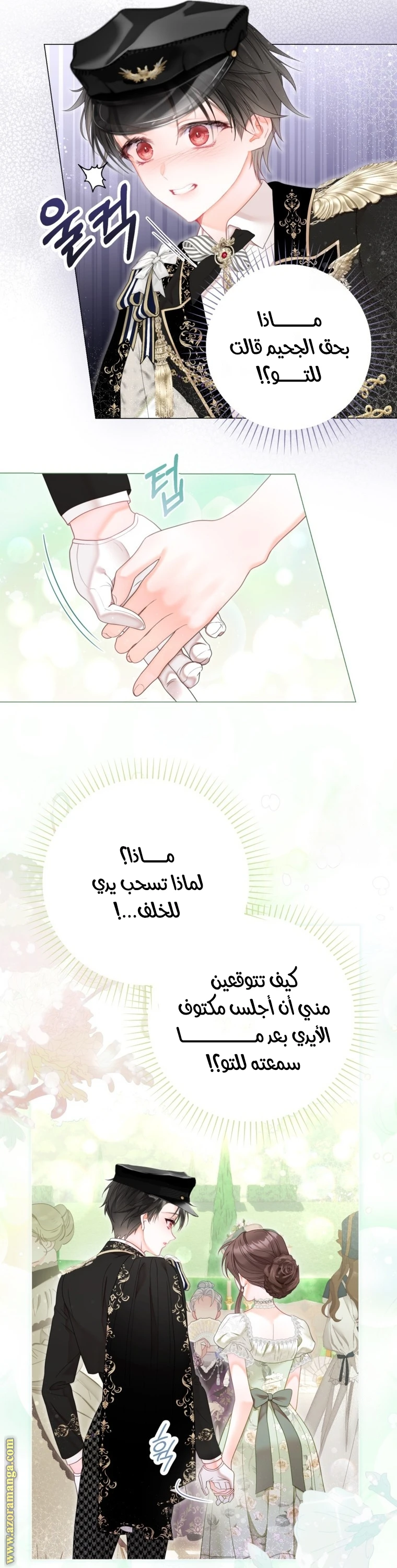 الصفحة 17