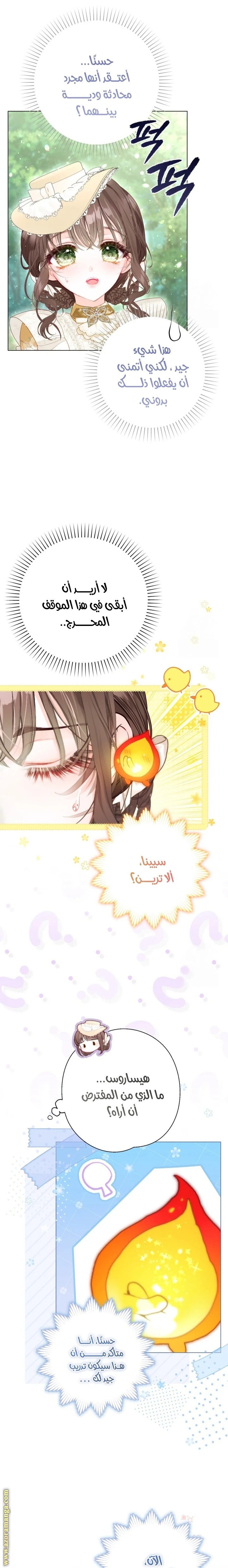 الصفحة 17
