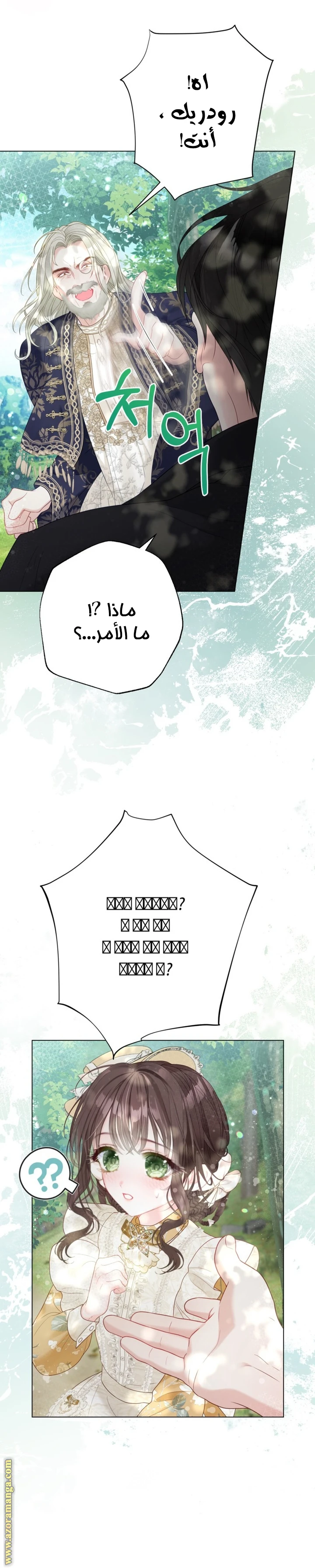 الصفحة 17
