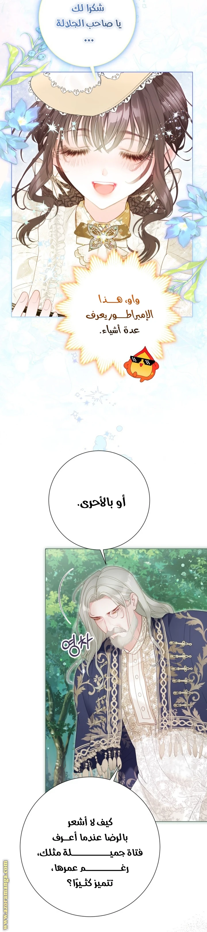 الصفحة 27
