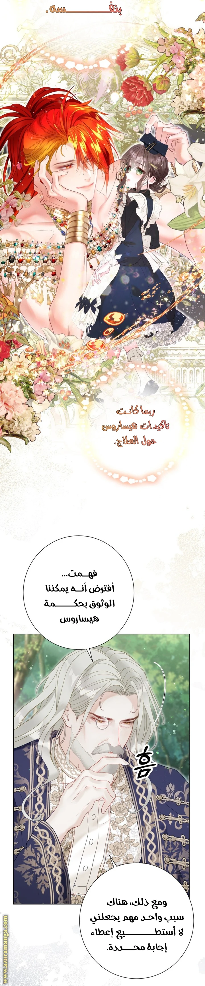 الصفحة 29