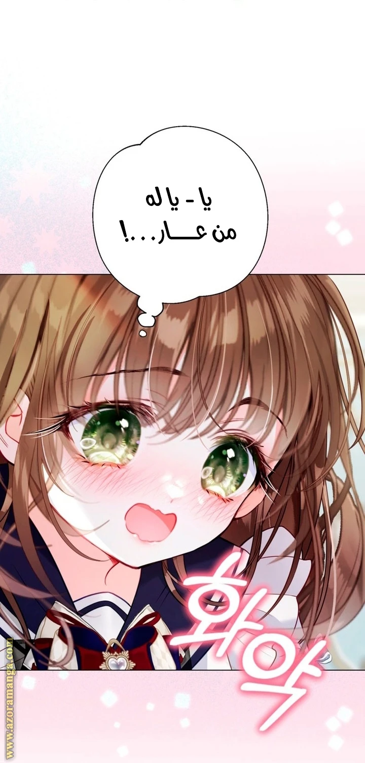 الصفحة 29