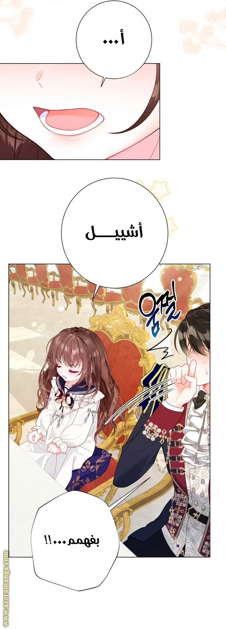 الصفحة 43