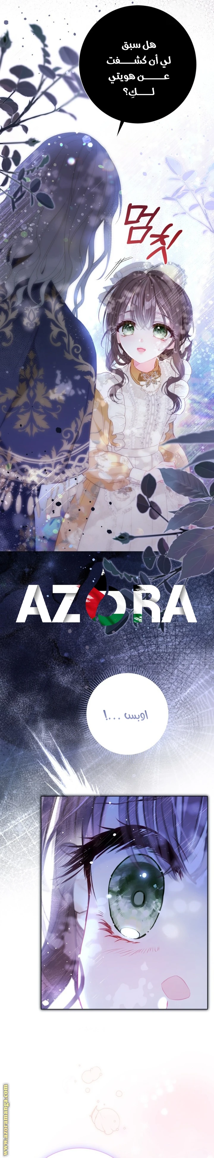الصفحة 21
