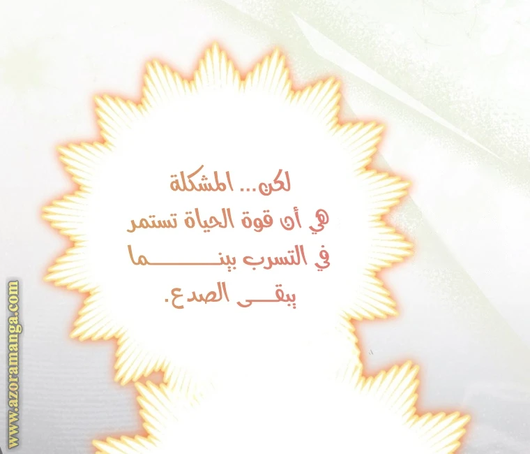 الصفحة 20