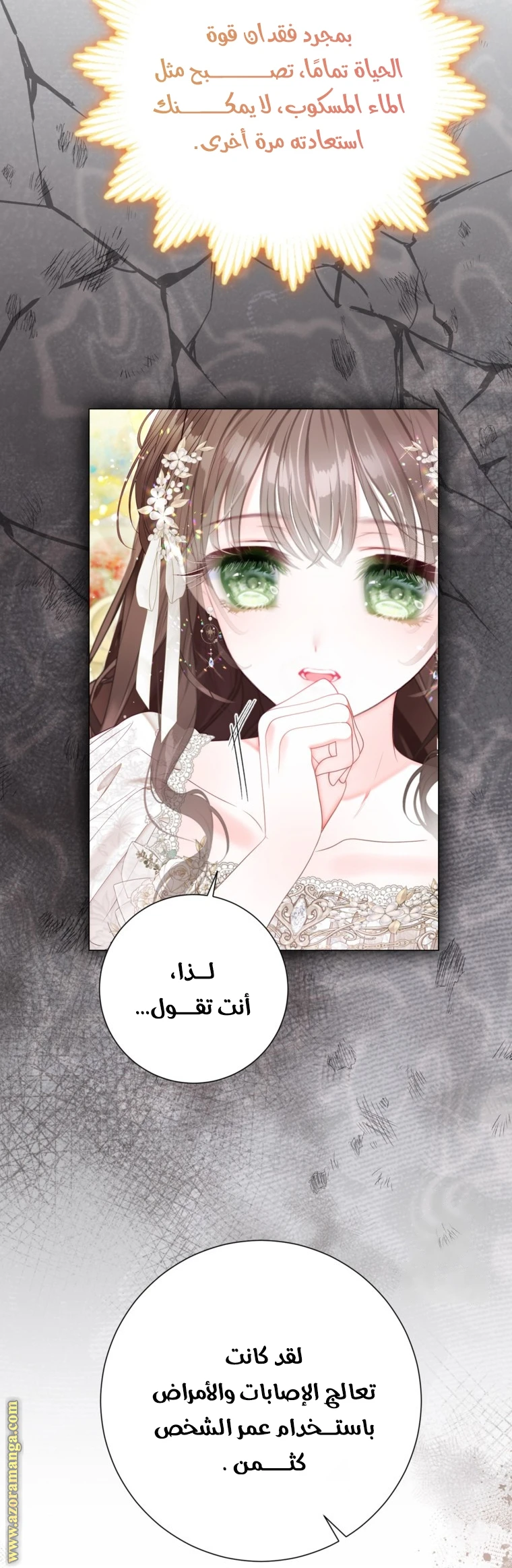 الصفحة 21