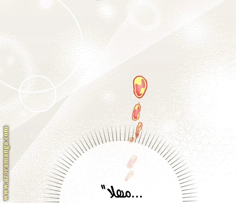 الصفحة 41