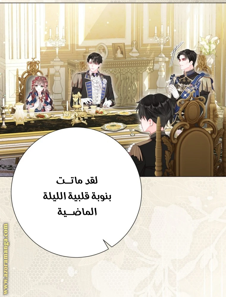 الصفحة 52