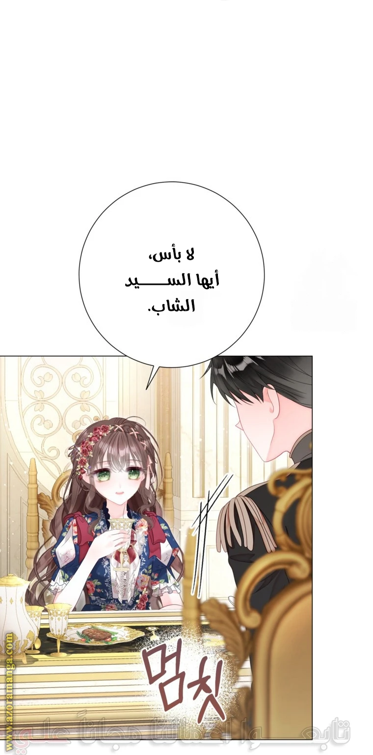 الصفحة 54