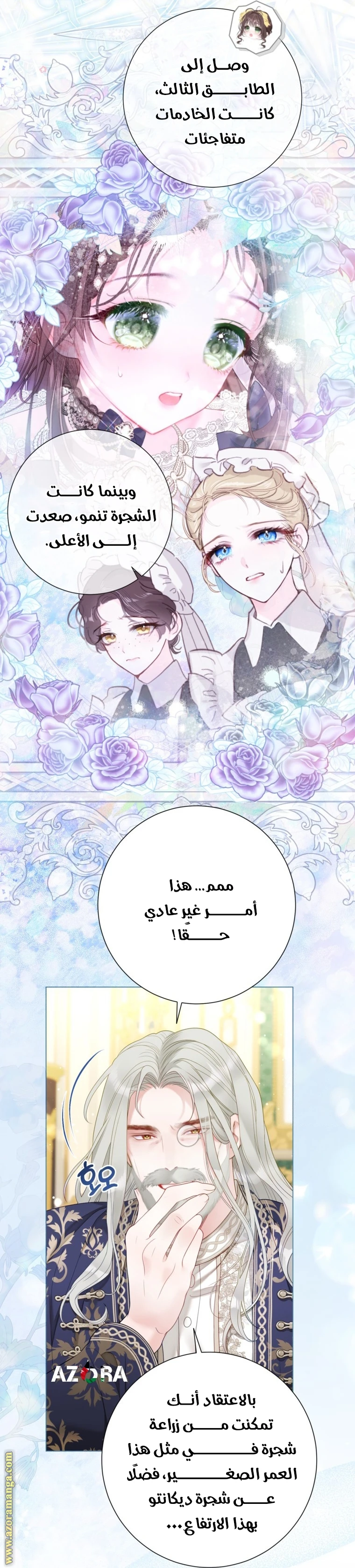 الصفحة 11