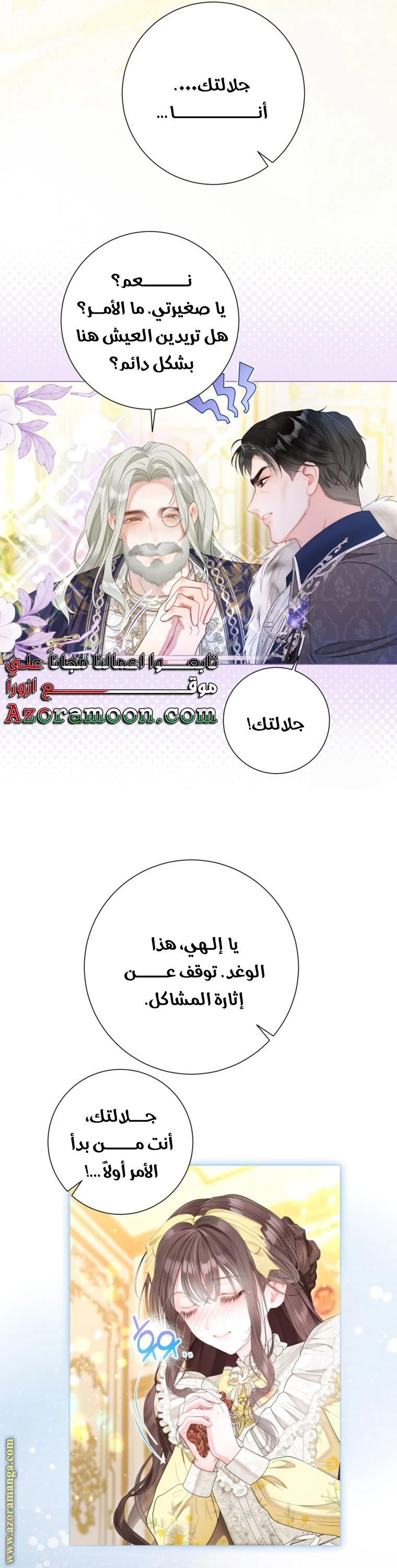 الصفحة 17