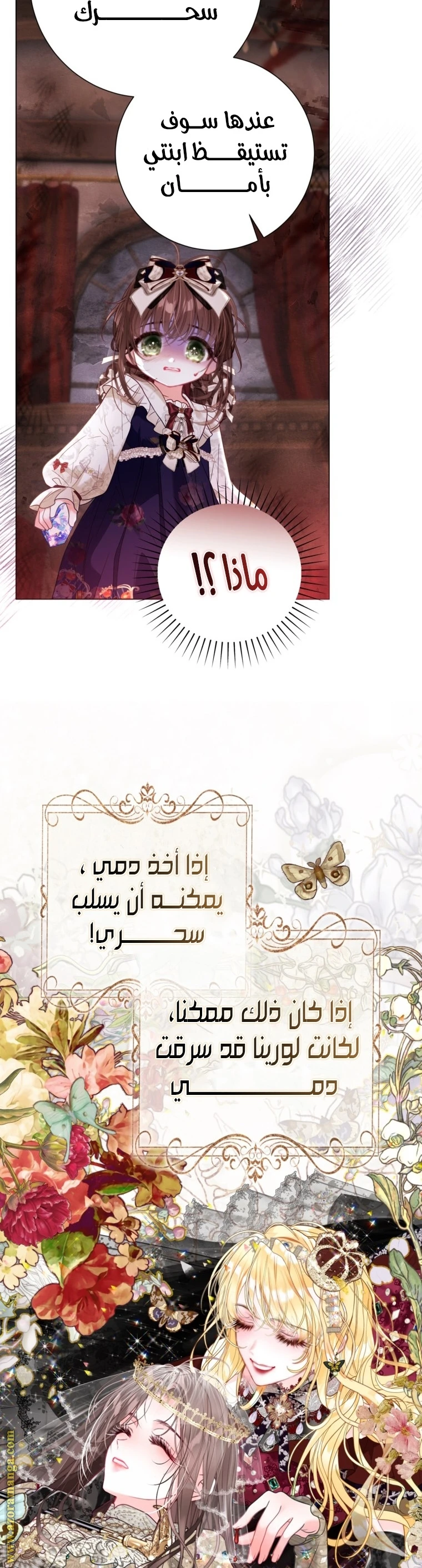 الصفحة 25