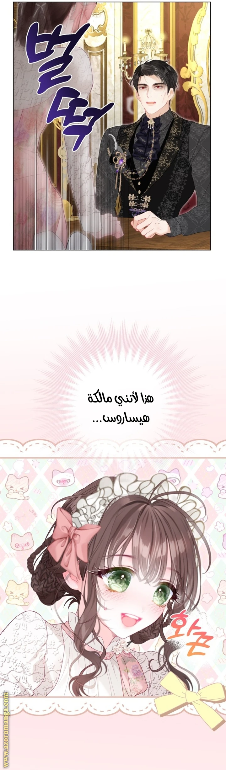 الصفحة 28