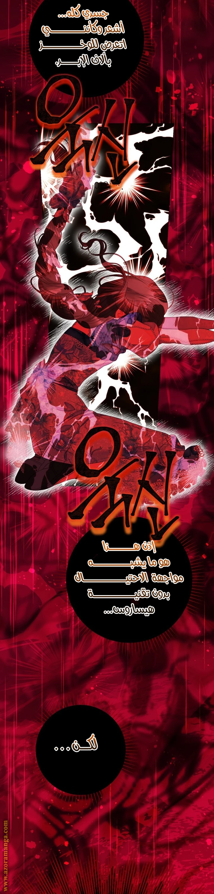 الصفحة 13