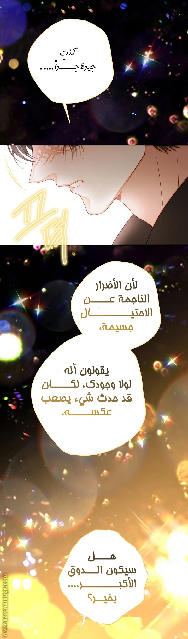 الصفحة 19