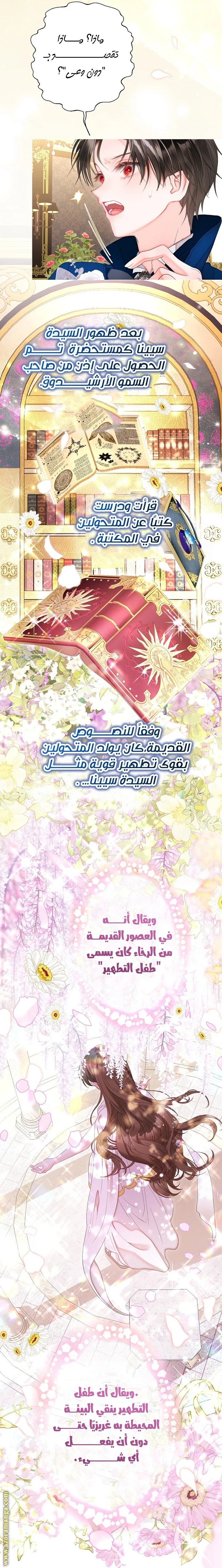 الصفحة 28