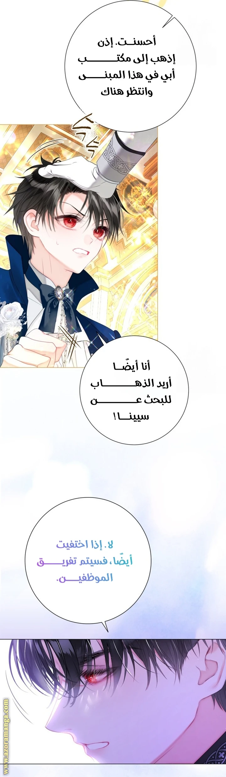 الصفحة 11