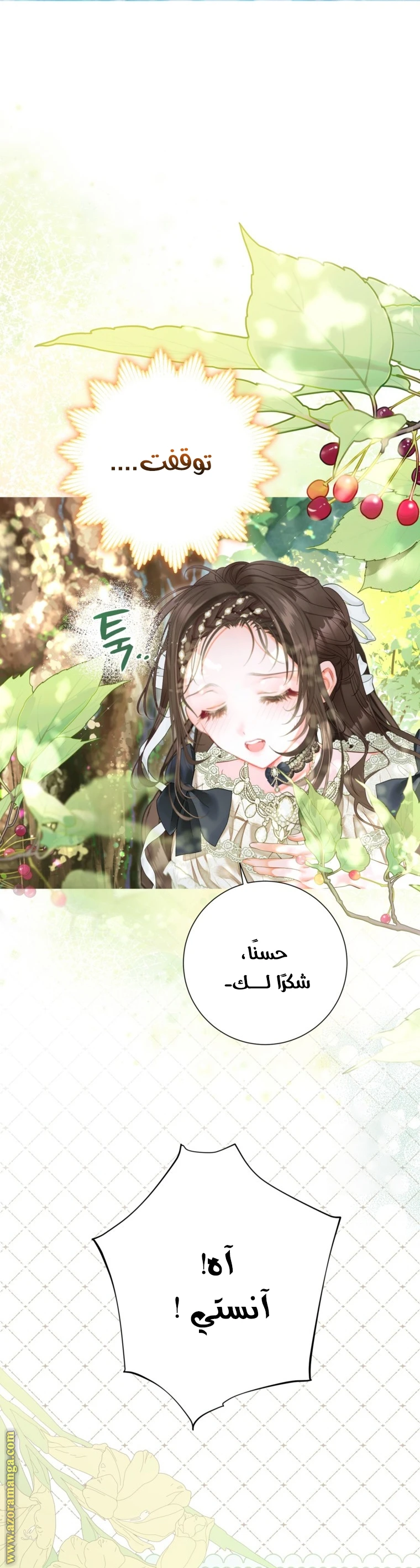 الصفحة 29