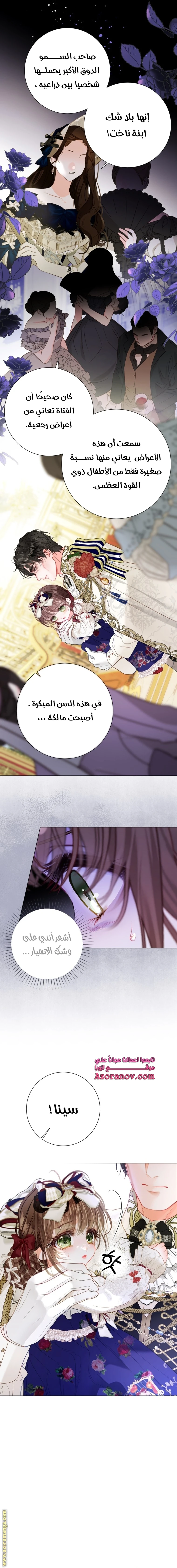 الصفحة 12