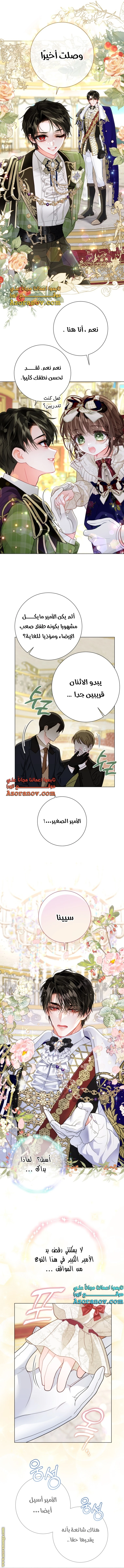 الصفحة 13