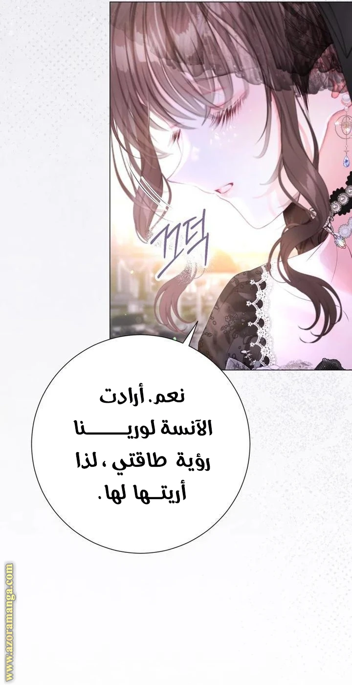 الصفحة 25