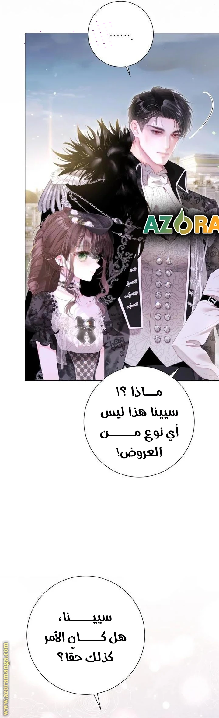الصفحة 26