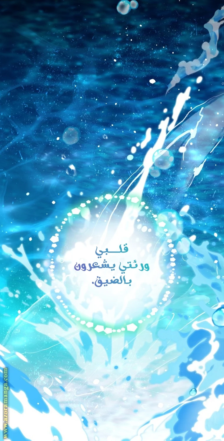 الصفحة 38