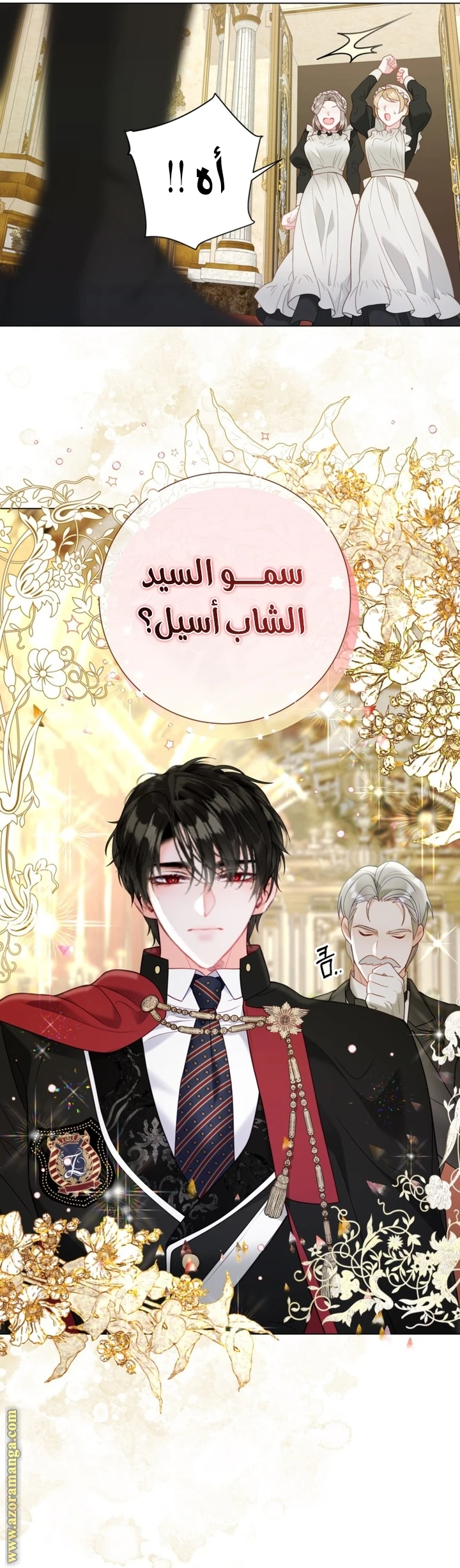 الصفحة 17