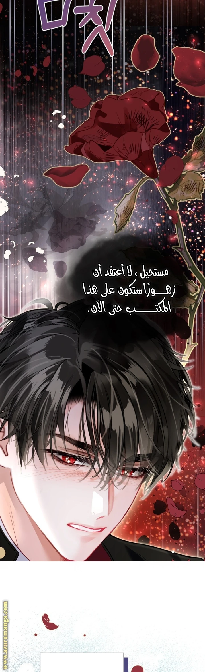 الصفحة 26