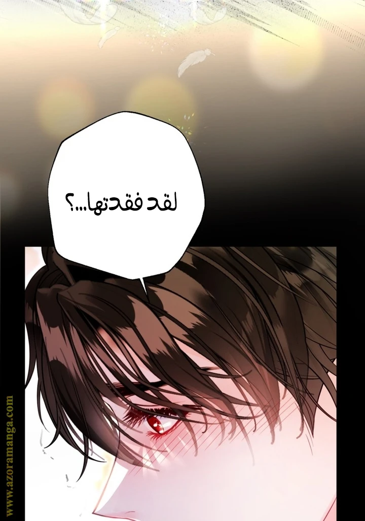 الصفحة 43
