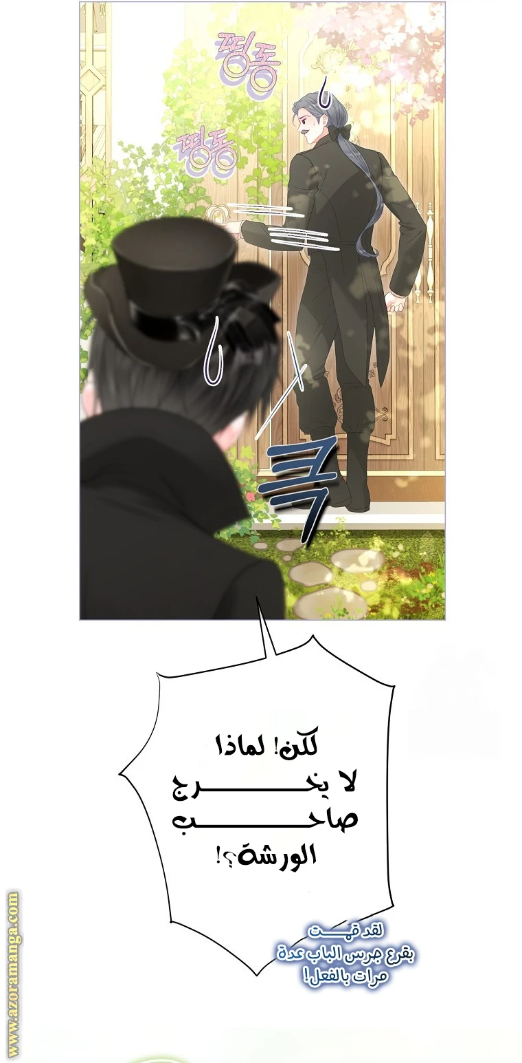 الصفحة 39
