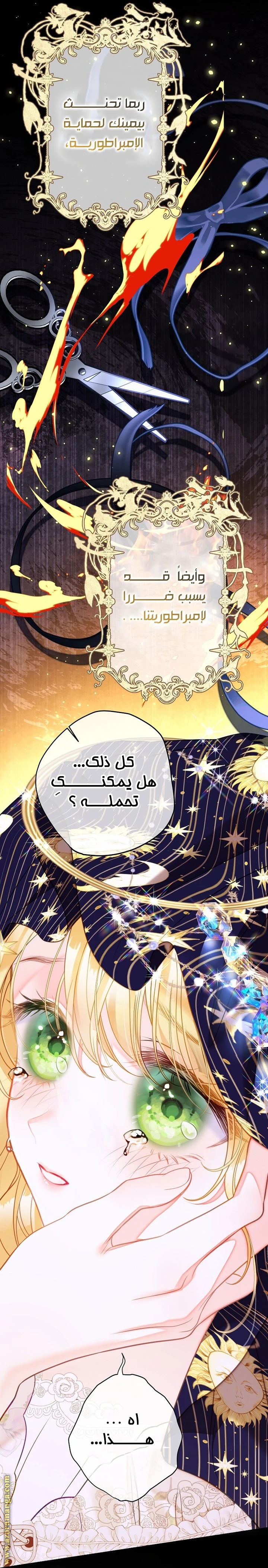 الصفحة 29