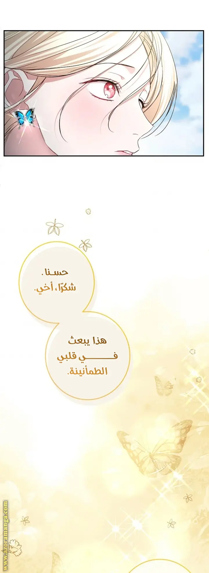 الصفحة 25