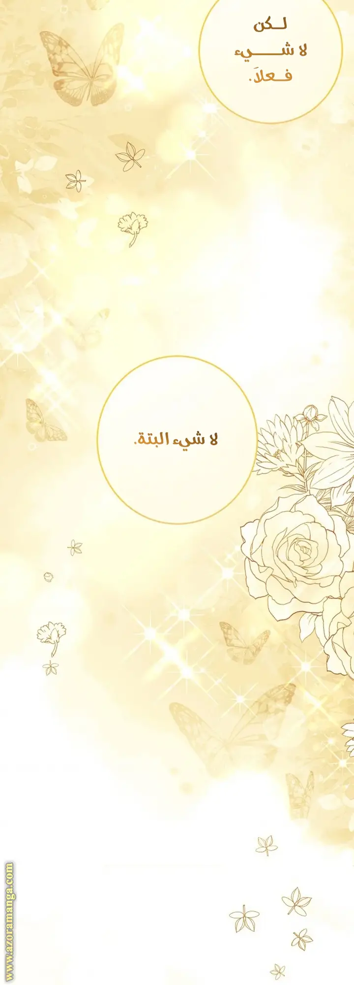 الصفحة 26