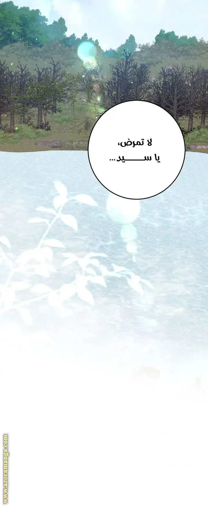 الصفحة 40