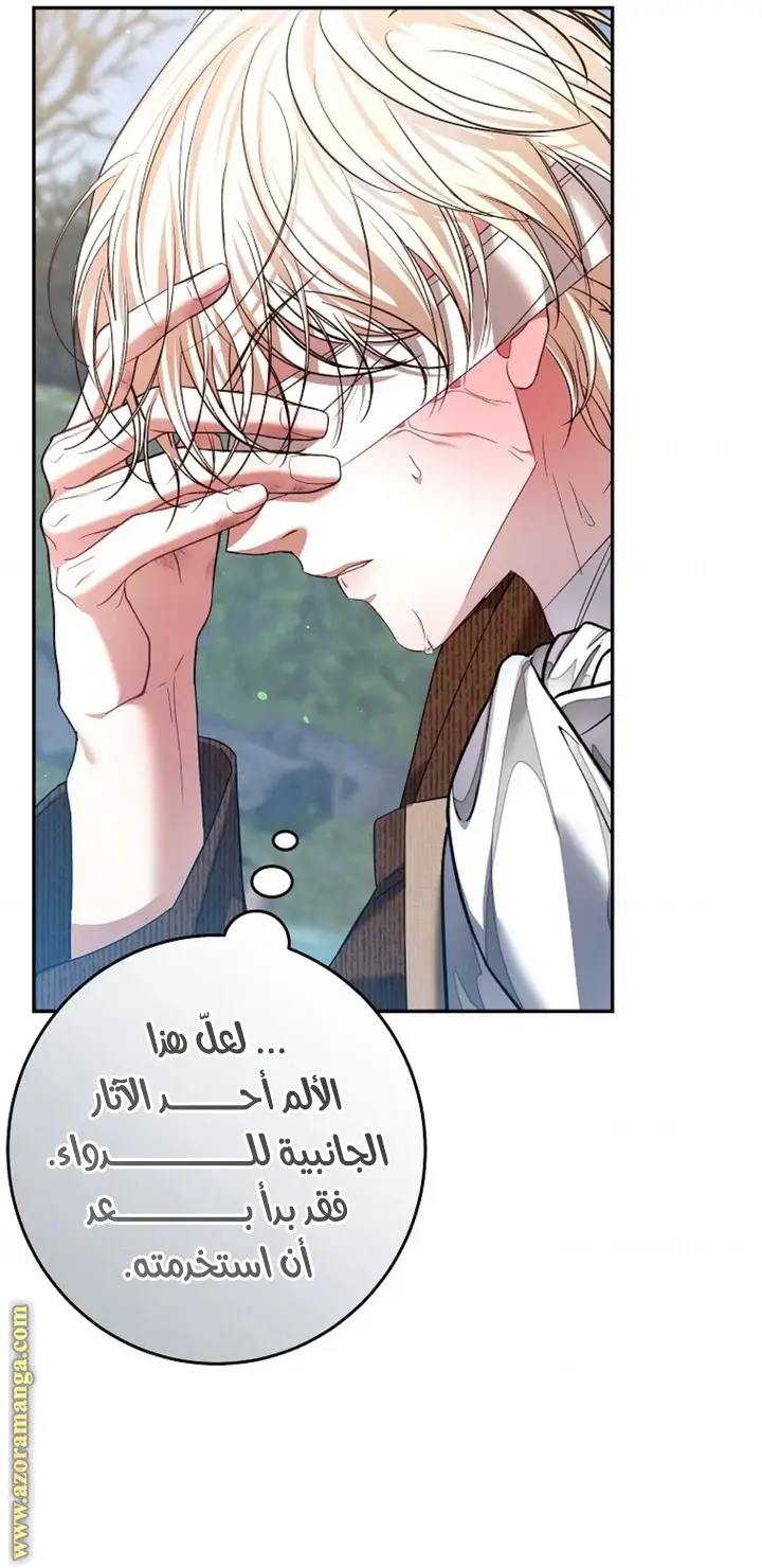 الصفحة 41