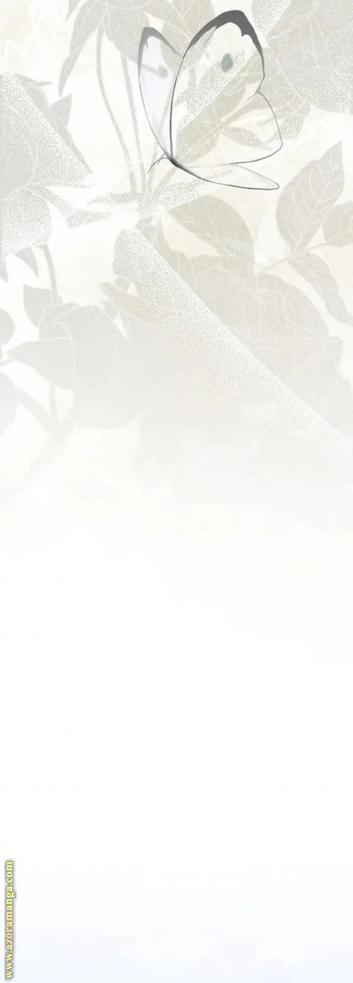 الصفحة 45