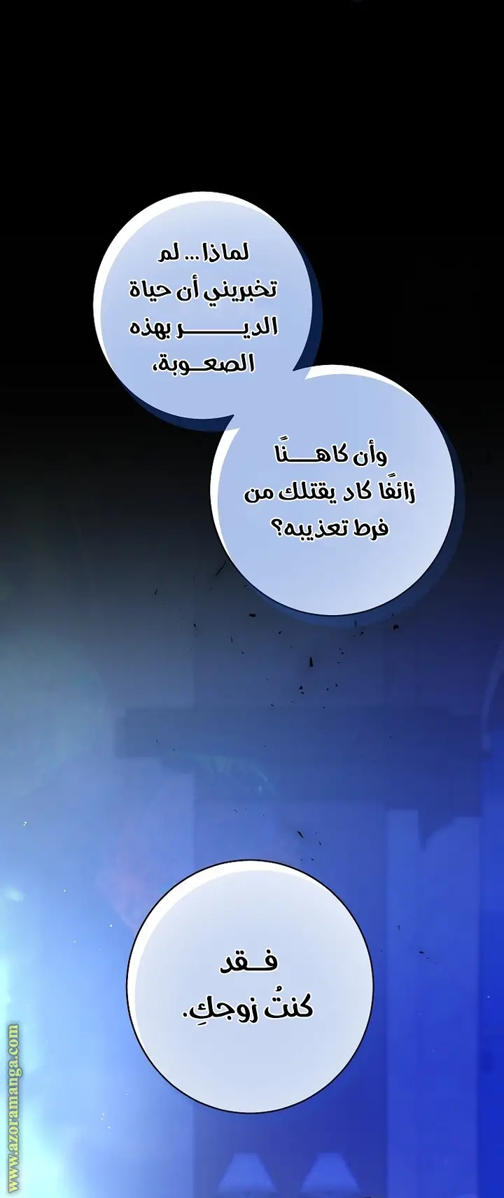 الصفحة 43