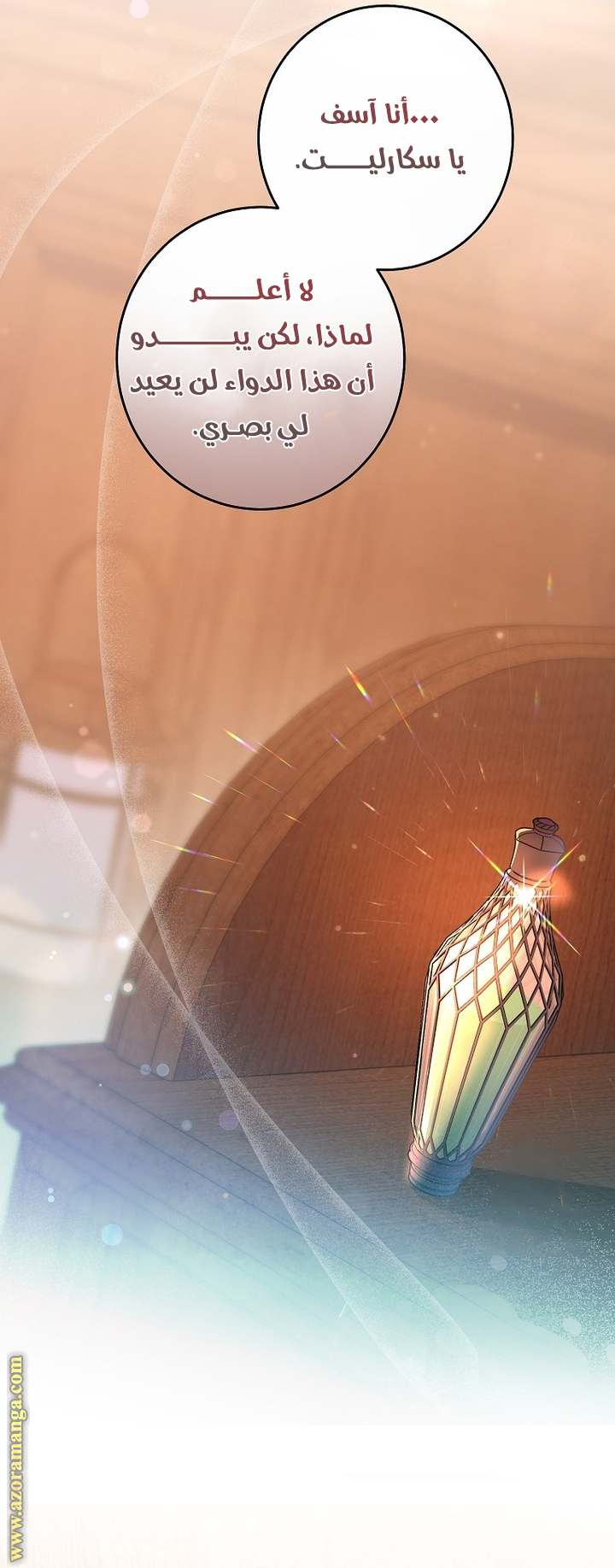 الصفحة 17