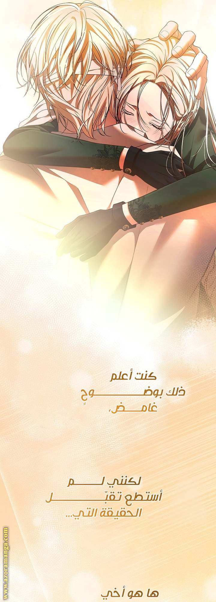 الصفحة 27