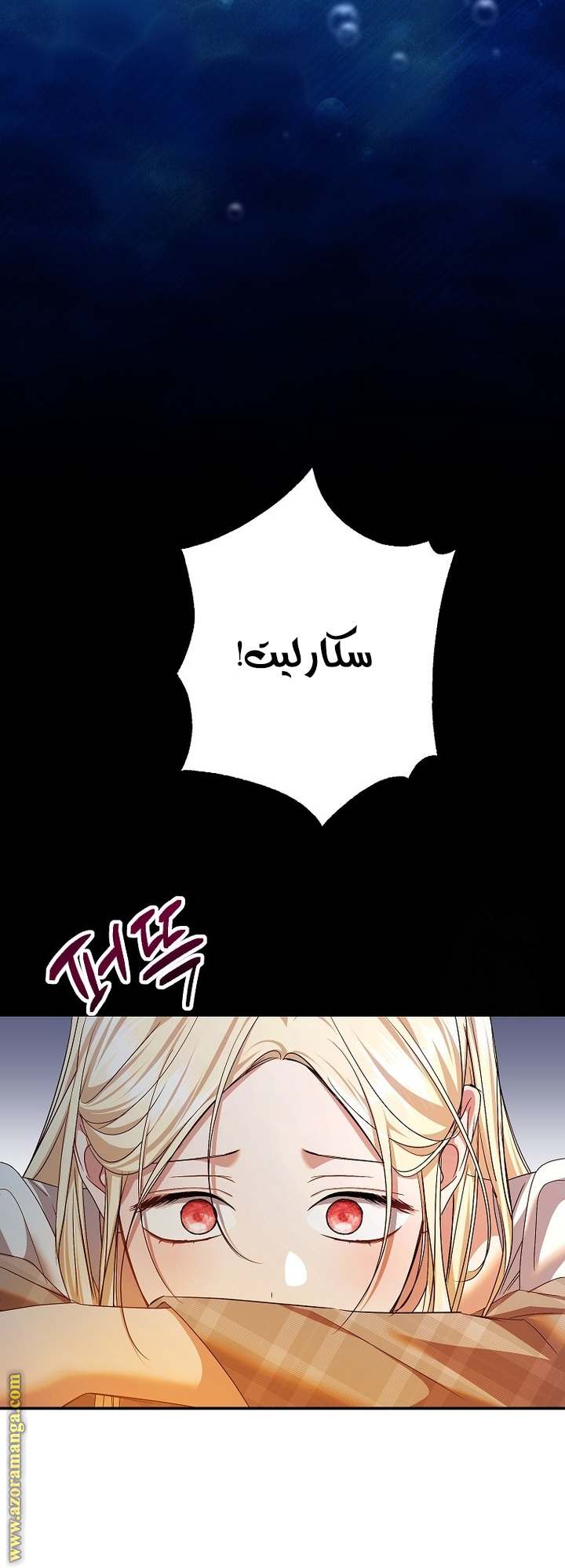 الصفحة 35