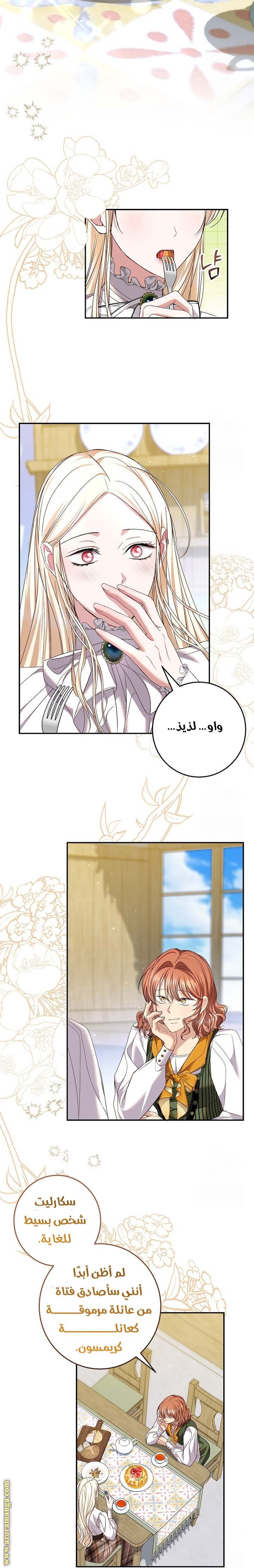 الصفحة 41