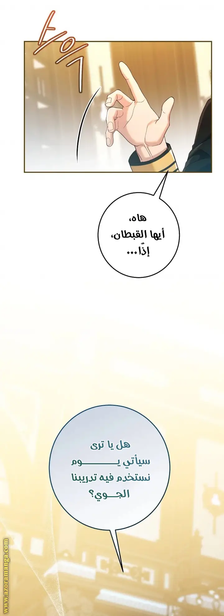 الصفحة 21