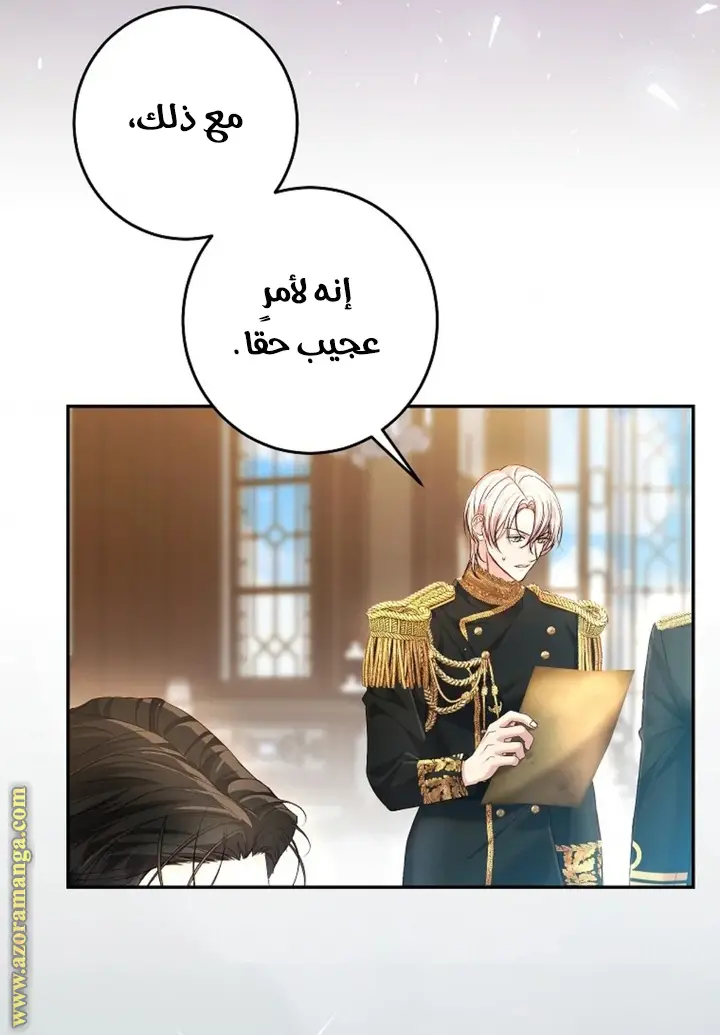 الصفحة 27